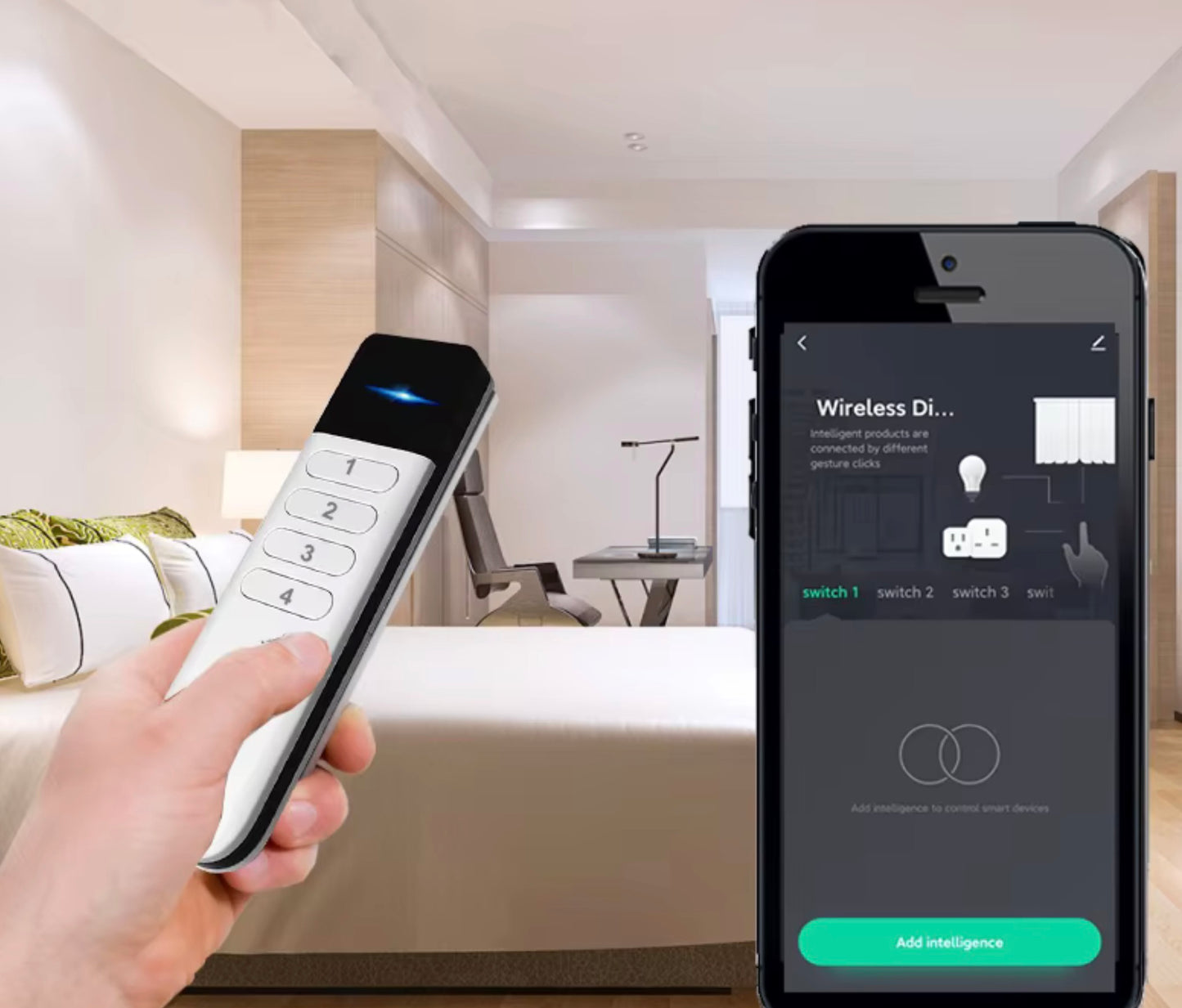 שלט שליטה זיגבי