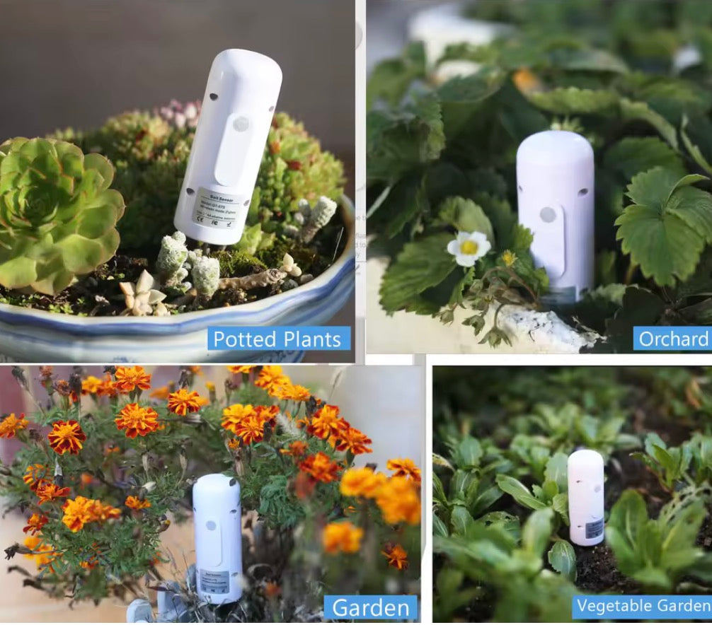 חיישן לחות אדמה