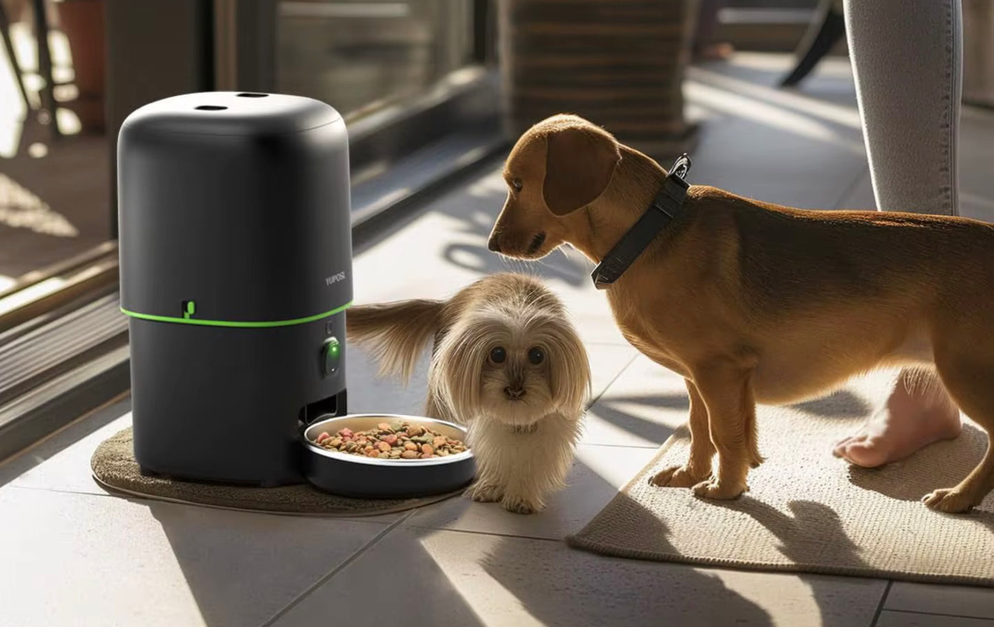 מאכיל חיות מחמד אוטומטי