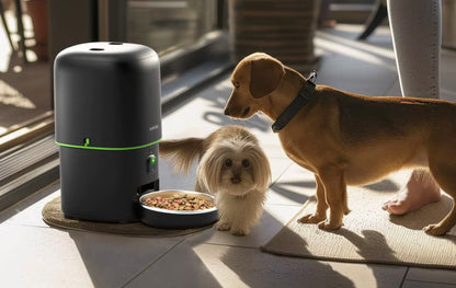 מאכיל חיות מחמד אוטומטי