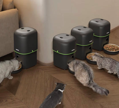 מאכיל חיות מחמד אוטומטי