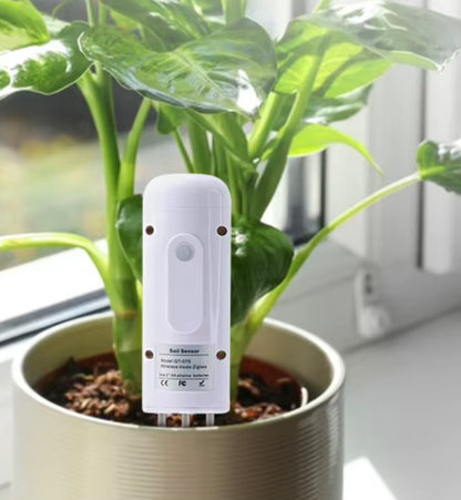 חיישן לחות אדמה
